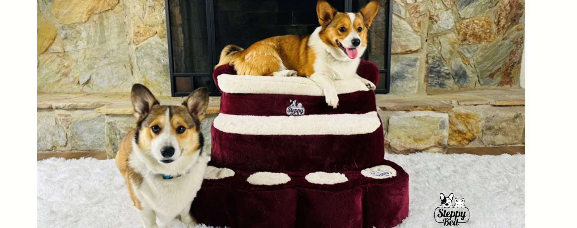 Corgis Steppy Bed